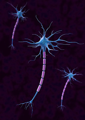 PSD 백그라운드 신체 의학 생명 세포 현미경 사람없음 라이프 그래픽 치료 3D소스 3D 조직 생명공학 입체 실험기구 생활 디지털합성 파일형식