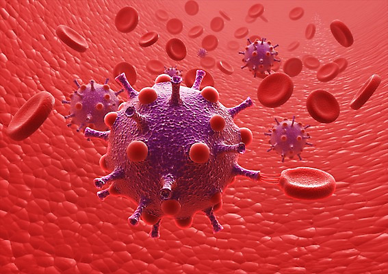 PSD 컬러 백그라운드 신체 의학 생명 세포 현미경 사람없음 라이프 그래픽 치료 빨간색 3D소스 3D 조직 혈액 생명공학 입체 혈관 박테리아 실험기구 생활 장기_의학 디지털합성 파일형식