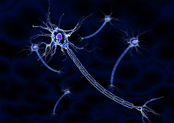 PSD 백그라운드 신체 의학 생명 세포 현미경 사람없음 라이프 그래픽 치료 3D소스 3D 조직 생명공학 입체 실험기구 생활 디지털합성 파일형식