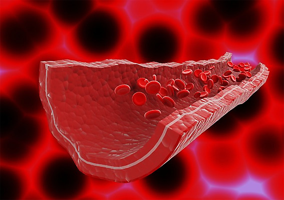 PSD 컬러 백그라운드 신체 의학 생명 세포 현미경 사람없음 라이프 그래픽 치료 빨간색 3D소스 3D 조직 혈액 생명공학 입체 혈관 혈소판 실험기구 생활 장기_의학 디지털합성 파일형식