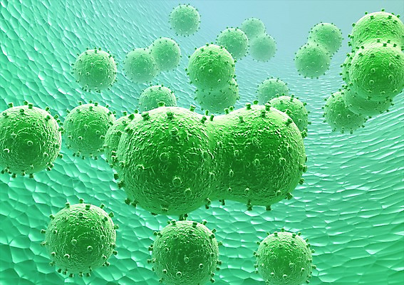 PSD 컬러 백그라운드 신체 의학 생명 세포 현미경 사람없음 라이프 그래픽 치료 초록색 3D소스 3D 조직 생명공학 입체 실험기구 생활 디지털합성 파일형식