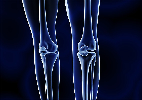 PSD 신체 해부 의학 투시 골격 엑스레이 건강 병원 사람없음 신체부위 그래픽 치료 3D소스 3D 다리 입체 관절 무릎 다리뼈 뼈 사람 디지털합성 파일형식