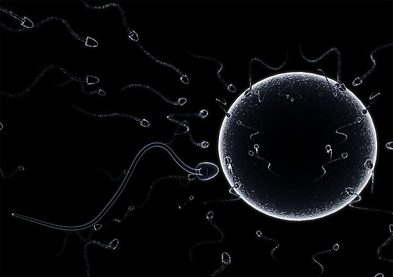 PSD 컬러 백그라운드 신체 의학 생명 세포 현미경 사람없음 라이프 그래픽 치료 3D소스 3D 검은색 조직 생명공학 입체 실험기구 생활 디지털합성 파일형식