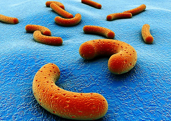 PSD 컬러 백그라운드 신체 의학 생명 세포 현미경 사람없음 라이프 그래픽 치료 파란색 3D소스 3D 주황색 조직 생명공학 입체 박테리아 실험기구 생활 디지털합성 파일형식