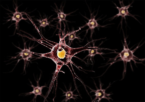 PSD 백그라운드 신체 의학 생명 세포 현미경 사람없음 라이프 그래픽 치료 3D소스 3D 조직 생명공학 입체 실험기구 생활 디지털합성 파일형식
