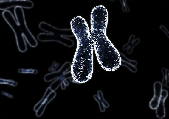 PSD 백그라운드 신체 의학 생명 세포 현미경 사람없음 라이프 그래픽 치료 3D소스 3D 조직 생명공학 입체 실험기구 생활 디지털합성 파일형식
