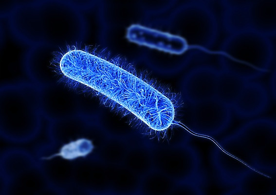 PSD 컬러 백그라운드 신체 의학 생명 세포 현미경 사람없음 라이프 그래픽 치료 파란색 3D소스 3D 조직 생명공학 입체 실험기구 생활 디지털합성 파일형식