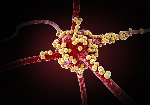 PSD 백그라운드 신체 의학 생명 세포 현미경 사람없음 라이프 그래픽 치료 3D소스 3D 조직 생명공학 입체 분열 박테리아 실험기구 생활 디지털합성 파일형식