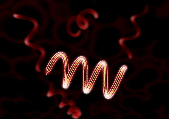 PSD 백그라운드 신체 의학 생명 세포 현미경 사람없음 라이프 그래픽 치료 3D소스 3D 조직 생명공학 입체 실험기구 생활 디지털합성 파일형식