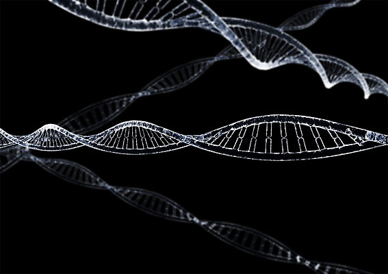 PSD 컬러 백그라운드 의학 세포 나선형 사람없음 그래픽 치료 3D소스 3D 검은색 과학기술 DNA 생명공학 입체 원자 염색체 무늬 기술 디지털합성 파일형식