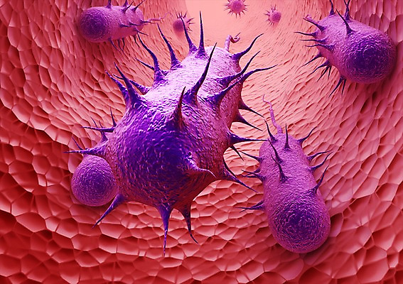 PSD 컬러 백그라운드 신체 의학 생명 세포 현미경 사람없음 라이프 그래픽 치료 빨간색 3D소스 3D 보라색 조직 혈액 생명공학 입체 혈관 박테리아 실험기구 생활 장기_의학 디지털합성 파일형식