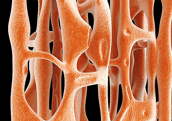 PSD 백그라운드 신체 의학 생명 세포 현미경 사람없음 라이프 그래픽 치료 3D소스 3D 구멍 조직 생명공학 입체 실험기구 생활 디지털합성 파일형식