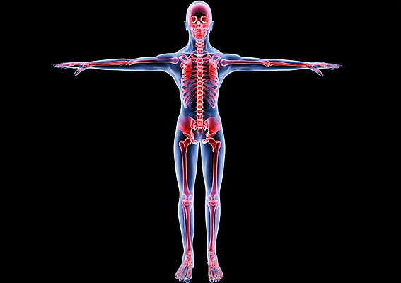 PSD 신체 해부 의학 투시 팔벌리기 뼈 골격 엑스레이 건강 병원 사람없음 신체부위 그래픽 치료 3D소스 3D 입체 모션 사람 디지털합성 파일형식