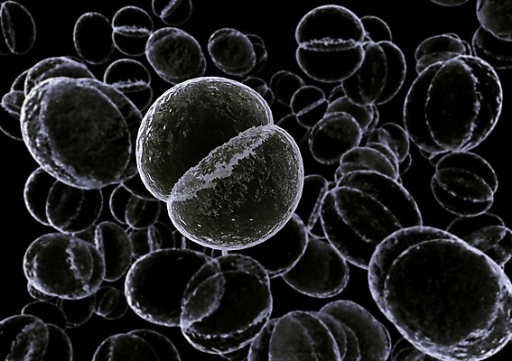 PSD 컬러 백그라운드 신체 의학 생명 세포 현미경 사람없음 라이프 그래픽 치료 3D소스 3D 검은색 조직 DNA 생명공학 입체 핵 분열 세포분열 실험기구 생활 디지털합성 파일형식