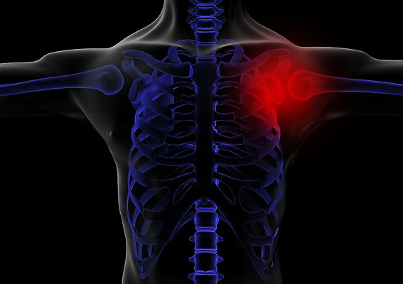 PSD 신체 해부 의학 투시 뼈 골격 엑스레이 건강 병원 상반신 사람없음 신체부위 그래픽 치료 3D소스 3D 디스크 입체 어깨 사람 질병 디지털합성 파일형식