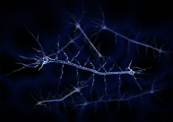 PSD 백그라운드 신체 의학 생명 세포 현미경 사람없음 라이프 그래픽 치료 3D소스 3D 조직 생명공학 입체 실험기구 생활 디지털합성 파일형식