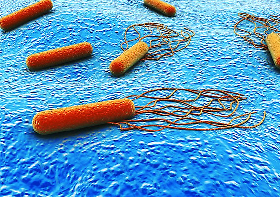 PSD 컬러 백그라운드 신체 의학 생명 세포 현미경 사람없음 라이프 그래픽 치료 파란색 3D소스 3D 조직 생명공학 입체 실험기구 생활 디지털합성 파일형식