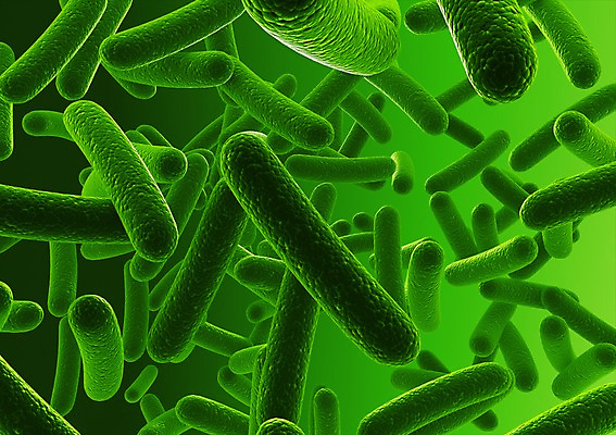 PSD 컬러 백그라운드 신체 의학 생명 세포 현미경 사람없음 라이프 그래픽 치료 초록색 3D소스 3D 여러개 조직 생명공학 입체 박테리아 다수 실험기구 생활 디지털합성 파일형식