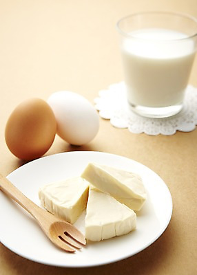 포토 JPG 스튜디오촬영 그릇 접시 음료 음식 포크 식재료 잔 치즈 유제품 실내 건강 관리 근접촬영 사람없음 아웃포커스 컵 건강관리 계란 우유 건강식품 국내포토 식기 뷰포인트 촬영기법 내부 알 파일형식