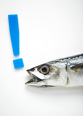 포토 JPG 스튜디오촬영 기호 음식 식재료 실내 건강 관리 어류 사람없음 건강관리 느낌표 고등어 건강식품 등푸른생선 국내포토 문자 내부 수중동물 파일형식