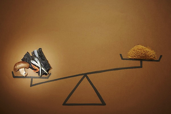 포토 JPG 스튜디오촬영 음식 식재료 새우 실내 건강 관리 저울 사람없음 건강관리 버섯 조미료 건강식품 다시마 멸치 화학조미료 국내포토 갑각류 어류 내부 해조류 향미료 파일형식