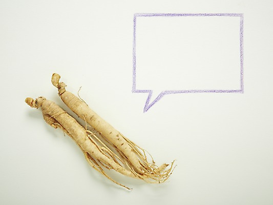 포토 JPG 스튜디오촬영 식물 음식 말풍선 식재료 프레임 실내 건강 관리 사람없음 농작물 건강관리 한약재 삼 인삼 뿌리 건강식품 국내포토 농업 채소 내부 약재 파일형식