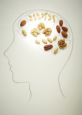 포토 JPG 스튜디오촬영 음식 실내 건강 관리 사람없음 옆모습 머리 건강관리 피규어 견과류 두뇌 뇌 땅콩 호두 아몬드 잣 건강식품 국내포토 뷰포인트 내부 신체부위 미니어처 파일형식