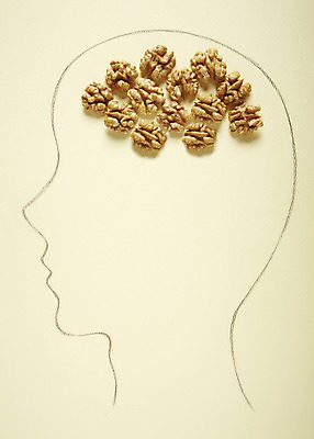 포토 JPG 스튜디오촬영 음식 실내 건강 관리 사람없음 옆모습 머리 건강관리 피규어 견과류 두뇌 뇌 건강식품 국내포토 뷰포인트 내부 신체부위 미니어처 파일형식