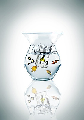 PSD 동물 편집 편집이미지 기호 유리병 해골 경고 어류 사람없음 물 독약 병 위험물 위험 어항 심볼 열대어 독성 유해물질 취급주의 해골모형 이미지편집 자연요소 문자 식기 컨셉 병_용기 뼈 모형 수중동물 파일형식