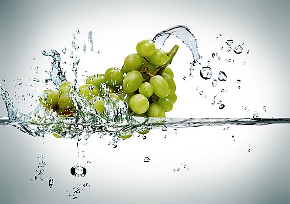 PSD 편집 편집이미지 웰빙 백그라운드 과일 포도 순간포착 사람없음 물 물방울 신선 유기농 청포도 포도송이 이미지편집 자연요소 촬영기법 파일형식