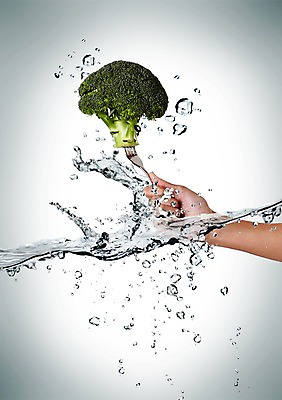 PSD 편집 편집이미지 손 웰빙 백그라운드 포크 채소 한손 순간포착 한명 들기 신체부위 물 물방울 신선 브로콜리 유기농 이미지편집 자연요소 1 식기 모션 촬영기법 사람 파일형식