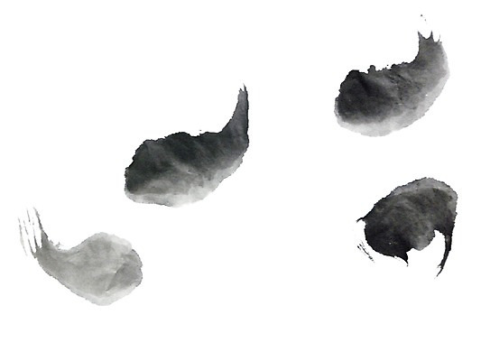 모양 PSD 동양문화 문양 캘리배경 백그라운드 일러스트 캘리그라피 붓터치 서예 잉크 사람없음 터치 먹 쉼표 국내일러스트 한국전통 문화 파일형식