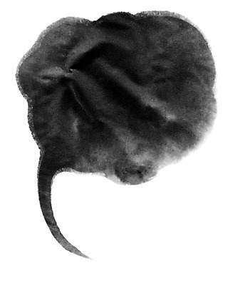 모양 PSD 동양문화 문양 캘리배경 백그라운드 말풍선 일러스트 캘리그라피 붓터치 서예 잉크 프레임 틀 사람없음 터치 먹 전통프레임 국내일러스트 한국전통 전통 문화 파일형식