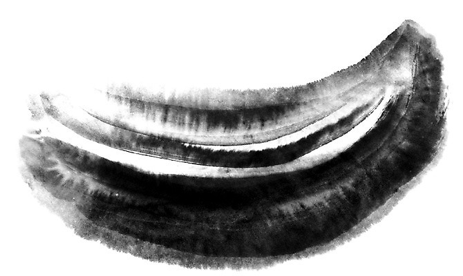 모양 PSD 동양문화 문양 캘리배경 백그라운드 일러스트 캘리그라피 붓터치 서예 잉크 사람없음 터치 먹 국내일러스트 한국전통 문화 파일형식