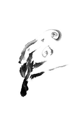 모양 PSD 동양문화 문양 캘리배경 백그라운드 일러스트 캘리그라피 붓터치 서예 잉크 사람없음 터치 먹 국내일러스트 한국전통 문화 파일형식