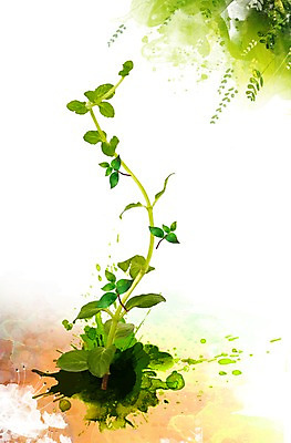 PSD 나무 식물 편집이미지 계절 백그라운드 자연 나뭇잎 풍경 사람없음 새싹 봄풍경 봄 풀 이미지편집 잎 생태계 파일형식