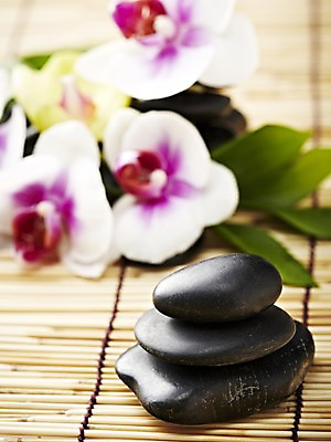 포토 JPG 스튜디오촬영 식물 꽃 백그라운드 컨셉 잎 실내 근접촬영 사람없음 아웃포커스 쌓기 돌_바위 조약돌 커튼 광석 호접란 국내포토 뷰포인트 모션 촬영기법 내부 파일형식