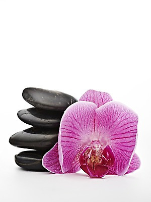 포토 JPG 스튜디오촬영 꽃 컬러 백그라운드 컨셉 한송이 실내 누끼 사람없음 쌓기 검은색 돌_바위 조약돌 자주색 광석 호접란 국내포토 식물 1 모션 내부 송이 파일형식