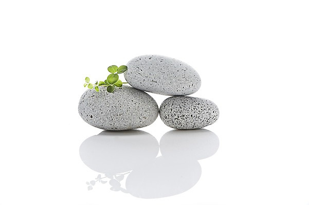 포토 JPG 스튜디오촬영 백그라운드 컨셉 잎 실내 누끼 사람없음 쌓기 돌_바위 조약돌 광석 국내포토 식물 모션 내부 파일형식