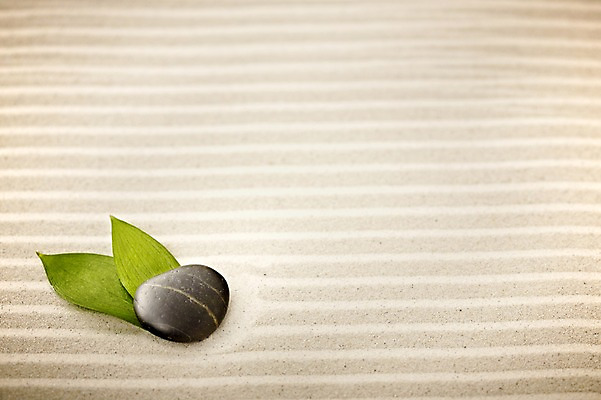 포토 JPG 스튜디오촬영 식물 선 줄 모래 백그라운드 컨셉 잎 무늬 나뭇잎 실내 사람없음 돌_바위 조약돌 광석 국내포토 내부 파일형식