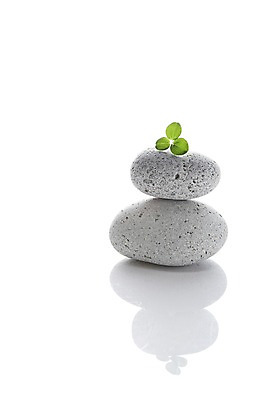 포토 JPG 스튜디오촬영 식물 백그라운드 컨셉 잎 나뭇잎 실내 그림자 누끼 사람없음 쌓기 돌_바위 조약돌 광석 국내포토 모션 내부 파일형식