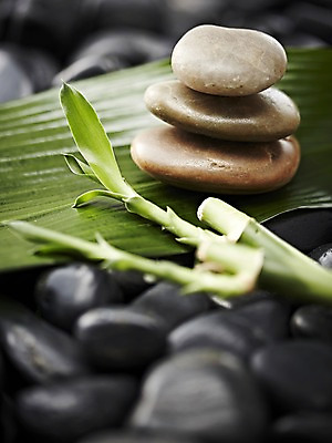 포토 JPG 스튜디오촬영 식물 백그라운드 컨셉 잎 나뭇잎 실내 근접촬영 사람없음 아웃포커스 쌓기 돌_바위 조약돌 광석 죽순 국내포토 뷰포인트 모션 촬영기법 내부 파일형식