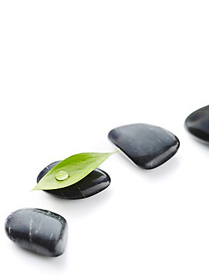 포토 JPG 스튜디오촬영 식물 백그라운드 컨셉 잎 나뭇잎 실내 누끼 사람없음 검은색 돌_바위 조약돌 물방울 광석 국내포토 컬러 내부 파일형식