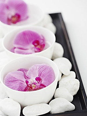 포토 JPG 스튜디오촬영 식물 그릇 식기 꽃 컬러 백그라운드 컨셉 쟁반 실내 근접촬영 사람없음 아웃포커스 돌_바위 조약돌 흰색 자주색 광석 호접란 국내포토 뷰포인트 촬영기법 내부 파일형식