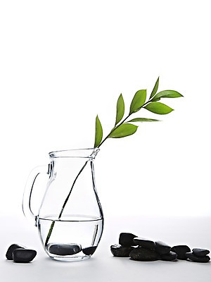 포토 JPG 스튜디오촬영 식물 백그라운드 컨셉 잎 나뭇잎 실내 사람없음 물 검은색 돌_바위 조약돌 나뭇가지 병 광석 물병 국내포토 자연요소 나무 식기 컬러 내부 물통 파일형식