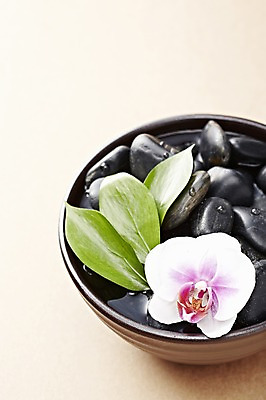 포토 JPG 스튜디오촬영 식물 그릇 식기 꽃 백그라운드 컨셉 잎 나뭇잎 실내 근접촬영 사람없음 물 돌_바위 조약돌 물방울 광석 호접란 국내포토 자연요소 뷰포인트 내부 파일형식