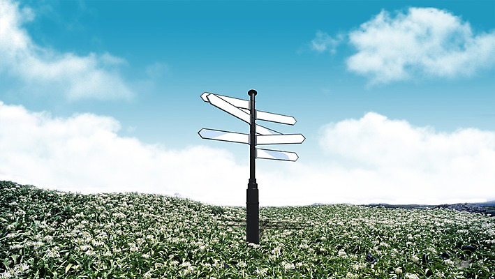 PSD 식물 구름 편집 편집이미지 계절 꽃 꽃밭 자연 하늘 안내 알림판 가을꽃 풍경 초원 사람없음 가을 표지판 방향 알림 언덕 방향지시 메밀꽃 이미지편집 자연요소 생태계 파일형식 가을_계절