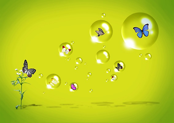 PSD 식물 편집 편집이미지 꽃 나비 곤충 백그라운드 자연 사람없음 물방울 공기방울 이미지편집 동물 생태계 파일형식