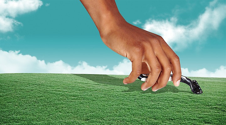 PSD 식물 구름 편집 편집이미지 손 생활용품 백그라운드 비즈니스 하늘 한손 한명 잔디 신체부위 도구 풀 날카로움 면도기 면도칼 이미지편집 자연요소 1 사람 위생용품 오브젝트 면도 파일형식