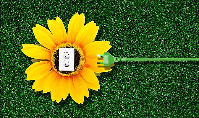 PSD 식물 편집이미지 라이프스타일 꽃 캠페인 자연 해바라기 잔디 사람없음 자연보호 환경 그린캠페인 에너지 전선 풀 그린에너지 콘센트 보호 환경보전 이미지편집 컨셉 생활 사회이슈 생태계 파일형식